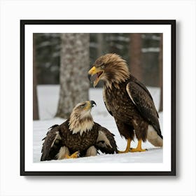 Eagles Art Print