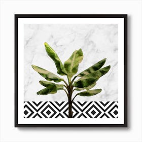 Banana Plant on White Marble and Checker Wall Art Print