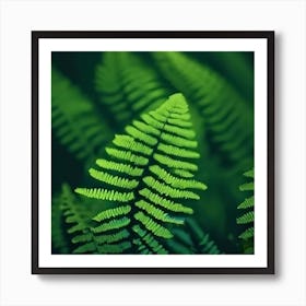 Fern Leaves Art Print