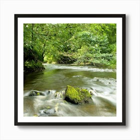 Stream In The Woods  Art Print