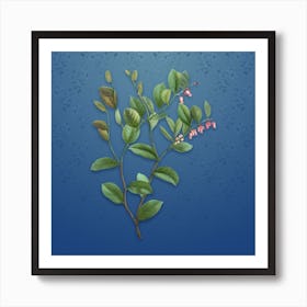 Vintage Andromeda Axillaris Bloom Botanical on Bahama Blue Pattern n.0570 Art Print
