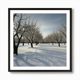 Orchards In The Snow Art Print