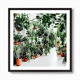 Room Full Of Plants Art Print