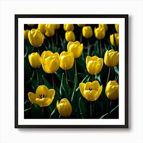 Yellow Tulips Art Print