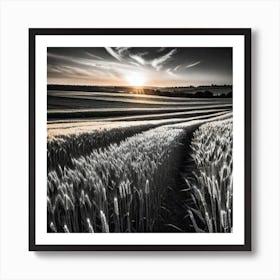 Sunset In A Wheat Field 7 Art Print
