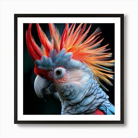 Colorful Parrot On Black Background Art Print