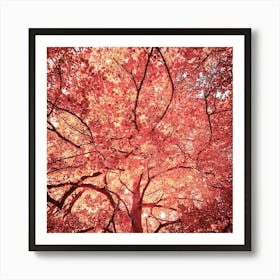 Red Autumn Tree Art Print