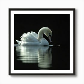Pretty Swan Art Print