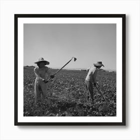 Nyssa, Oregon, Fsa (Farm Security Administration) Mobile Camp, Japanese American Farm Worker By Russell Lee 2 Art Print