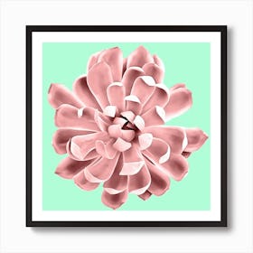 Pink Succulent Plant on Cyan Art Print