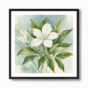 White Jasmine Art Print