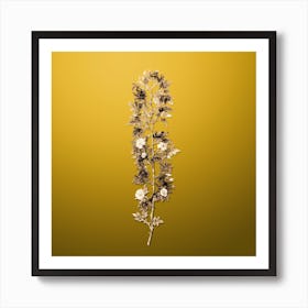 Gold Botanical Cuspidate Rose on Mango Yellow n.3931 Art Print