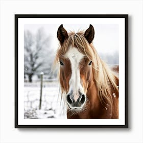 Horse Hair Pony Animal Mane Head Canino Isolated Pasture Beauty Fauna Season Farm Photo (2) Art Print