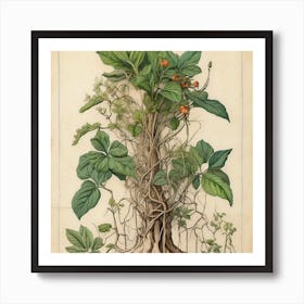 Hibiscus,wall art Art Print