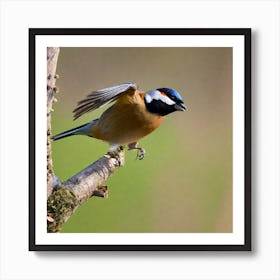 Tit on branch 43 Art Print