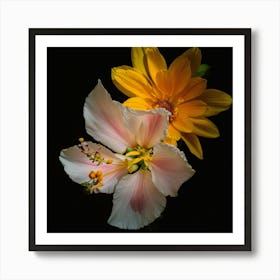 Hibiscus 6 Art Print