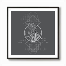 Vintage Cheiranthus Flower Botanical with Line Motif and Dot Pattern in Ghost Gray n.0150 Art Print