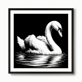 Swan On A Lake Art Print