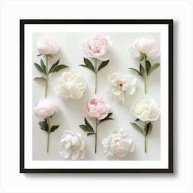 Peonies 1 Art Print