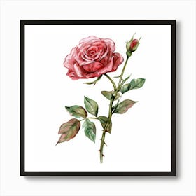 Watercolor Rose Art Print