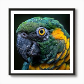 Parrot 18 Art Print