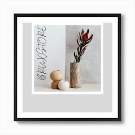 Vases And Flowers Art Print