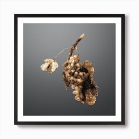 Gold Botanical Grape Vine on Soft Gray n.0180 Art Print