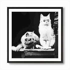 Cats Wearing Sunglasses, Vintage Black and White Old Photo Art Print