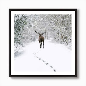 Deer In The Snow 3 Art Print