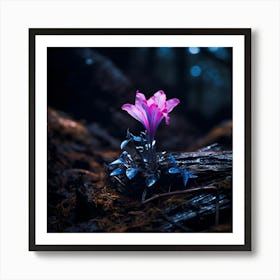 up close on a black rock in a mystical fairytale forest, alice in wonderland, mountain dew, fantasy, mystical forest, fairytale, beautiful, flower, purple pink and blue tones, dark yet enticing, Nikon Z8 4 Art Print