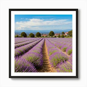 Lavender Field 1 Art Print