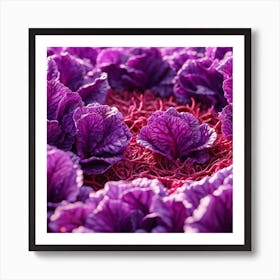 Purple Cabbage 8 Art Print