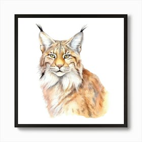 Balkan Lynx Cat Portrait Art Print