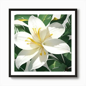 White Lily Art Print