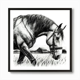 Horse In The Field 3 Art Print