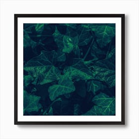 Ivy In The Park Art Print