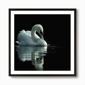 Beautiful Swan Art Print