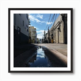 Puddle In Miami Art Print