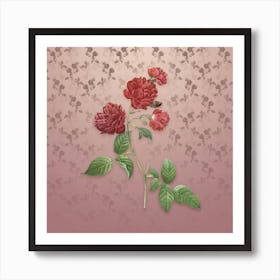 Vintage Red Cabbage Rose in Bloom Botanical on Dusty Pink Pattern n.1337 Art Print