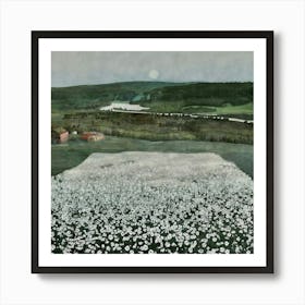 Moonlight Over A Field Of Daisies Art Print