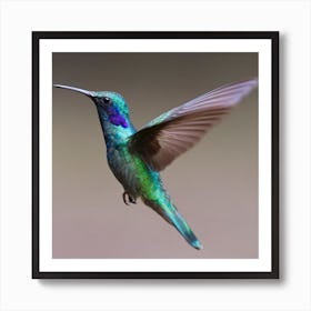 Hummingbird - Hummingbird Stock Videos & Royalty-Free Footage Art Print