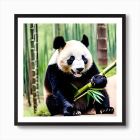 Panda Bear 7 Art Print