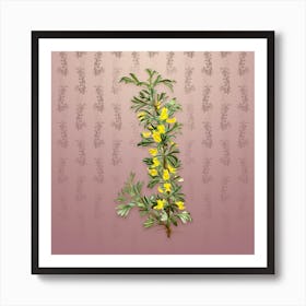Vintage Caragana Spinosa Botanical on Dusty Pink Pattern n.2549 Art Print