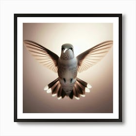 Hummingbird 5 Art Print