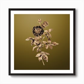 Gold Botanical One Hundred Leaved Rose on Dune Yellow n.4873 Art Print