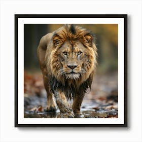 Lion Walking In The Forest 2 Art Print