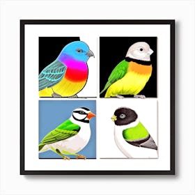 Four Colorful Birds Art Print