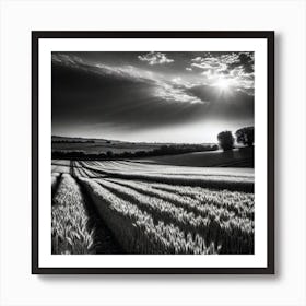 Black And White Wheat Field Art Print