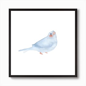 Blushing Bird Blue 2 Square Art Print