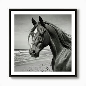 Black And White Horse On The Beach Art Print